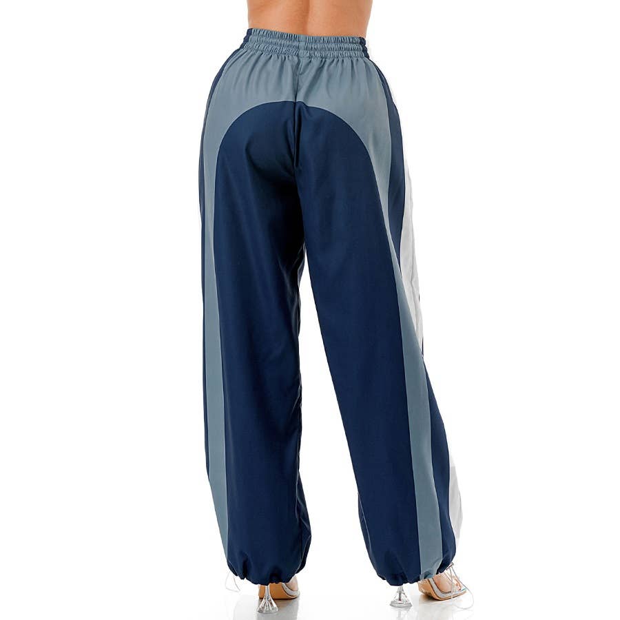 Plus Drawstring Elastic Waist Windbreaker Pants: BLUE